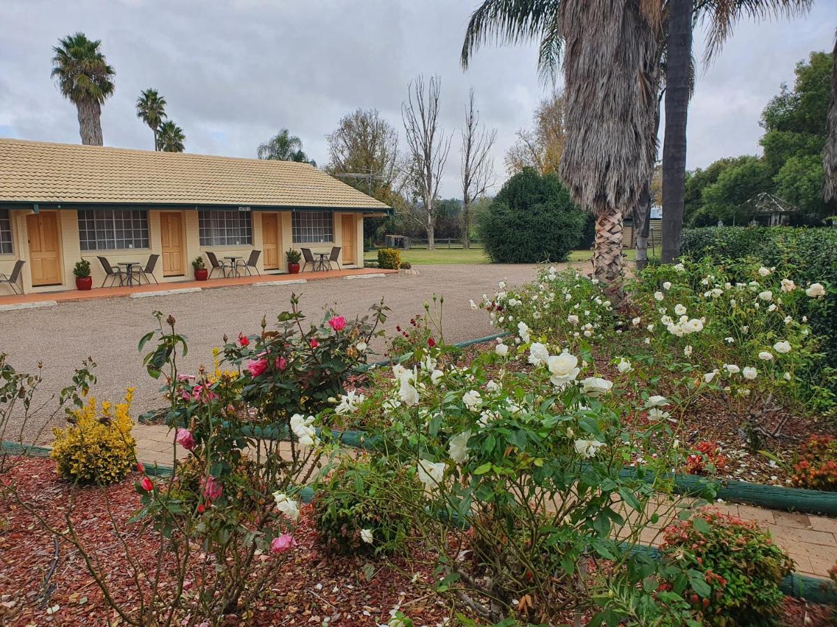 The Aston Motel Tamworth Esterno foto